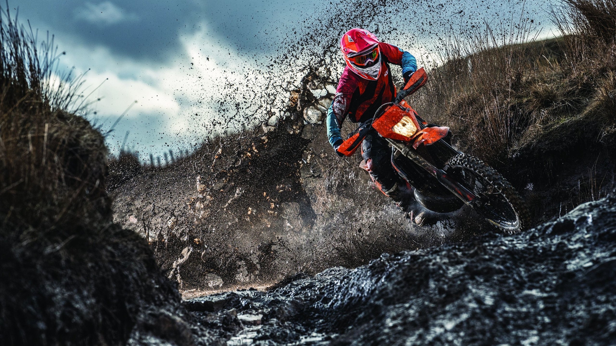 年度焦点之战之夜,奥斯梅恩硬仗之王